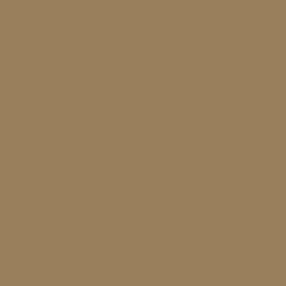 Vallejo - Pigments - Natural Umber 30ml - Image 2