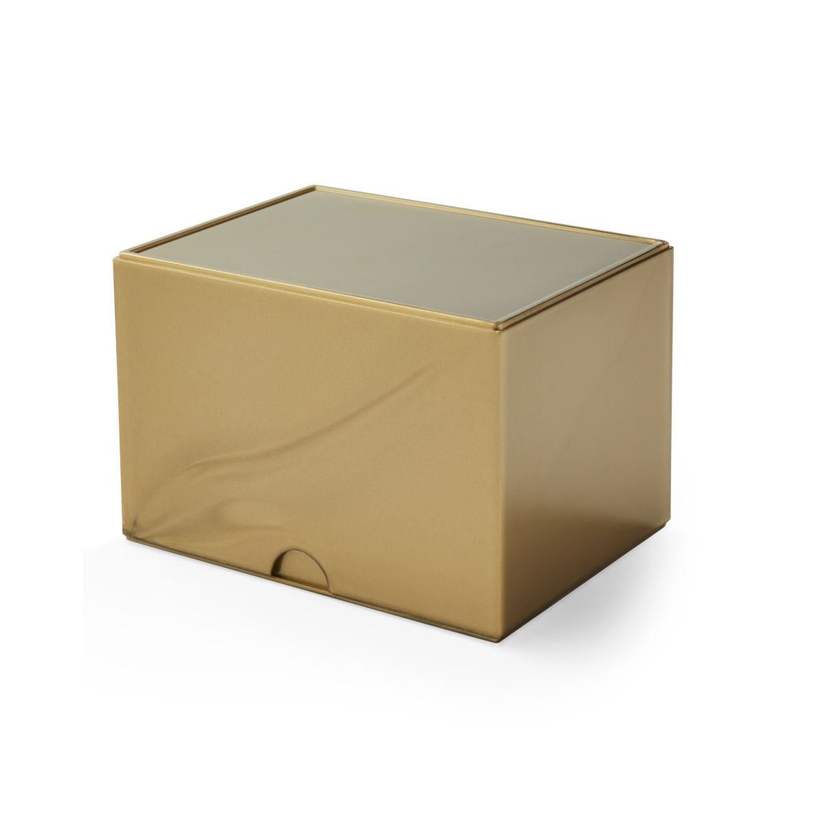 DS Strongbox Gold - Image 3