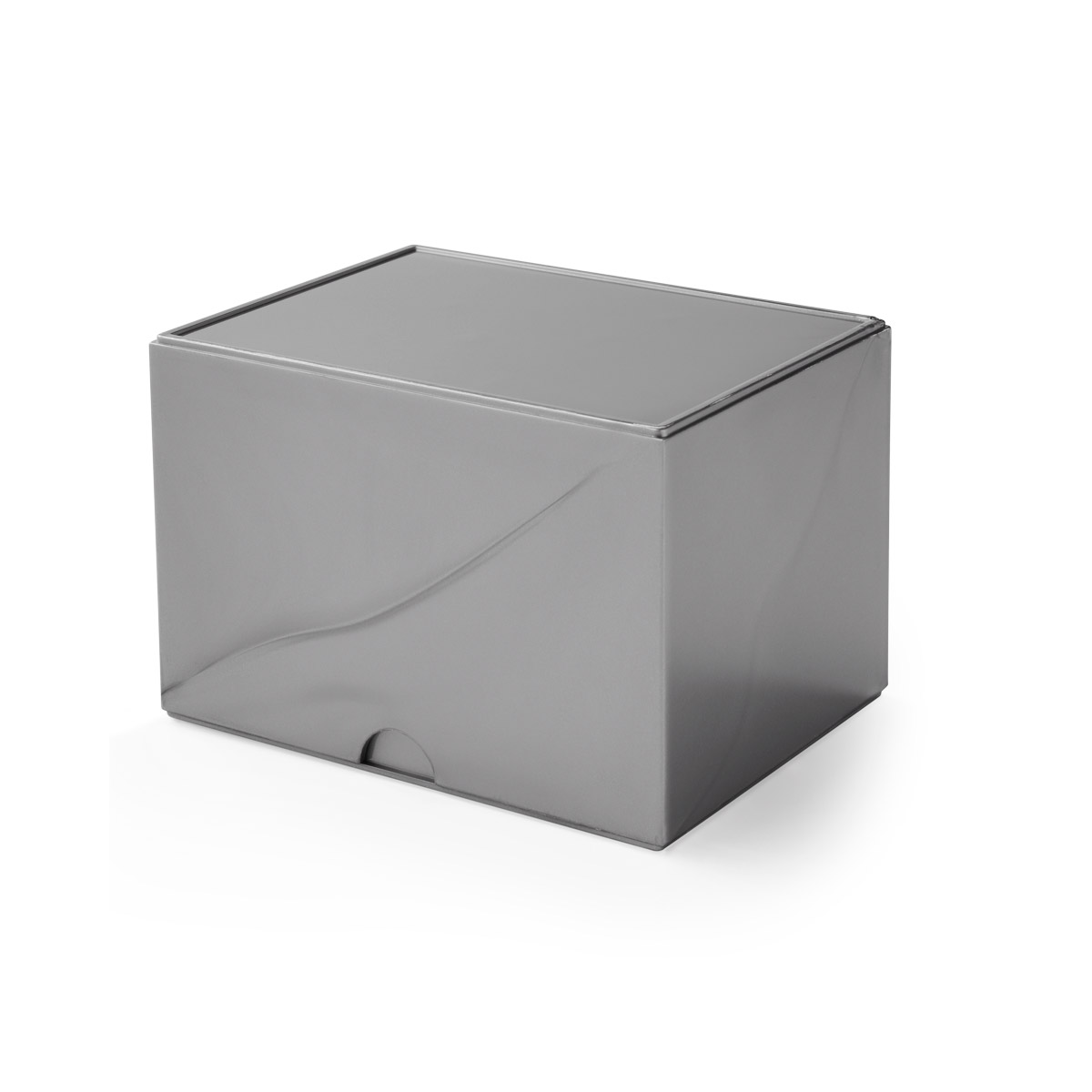 DS Strongbox Silver - Image 3