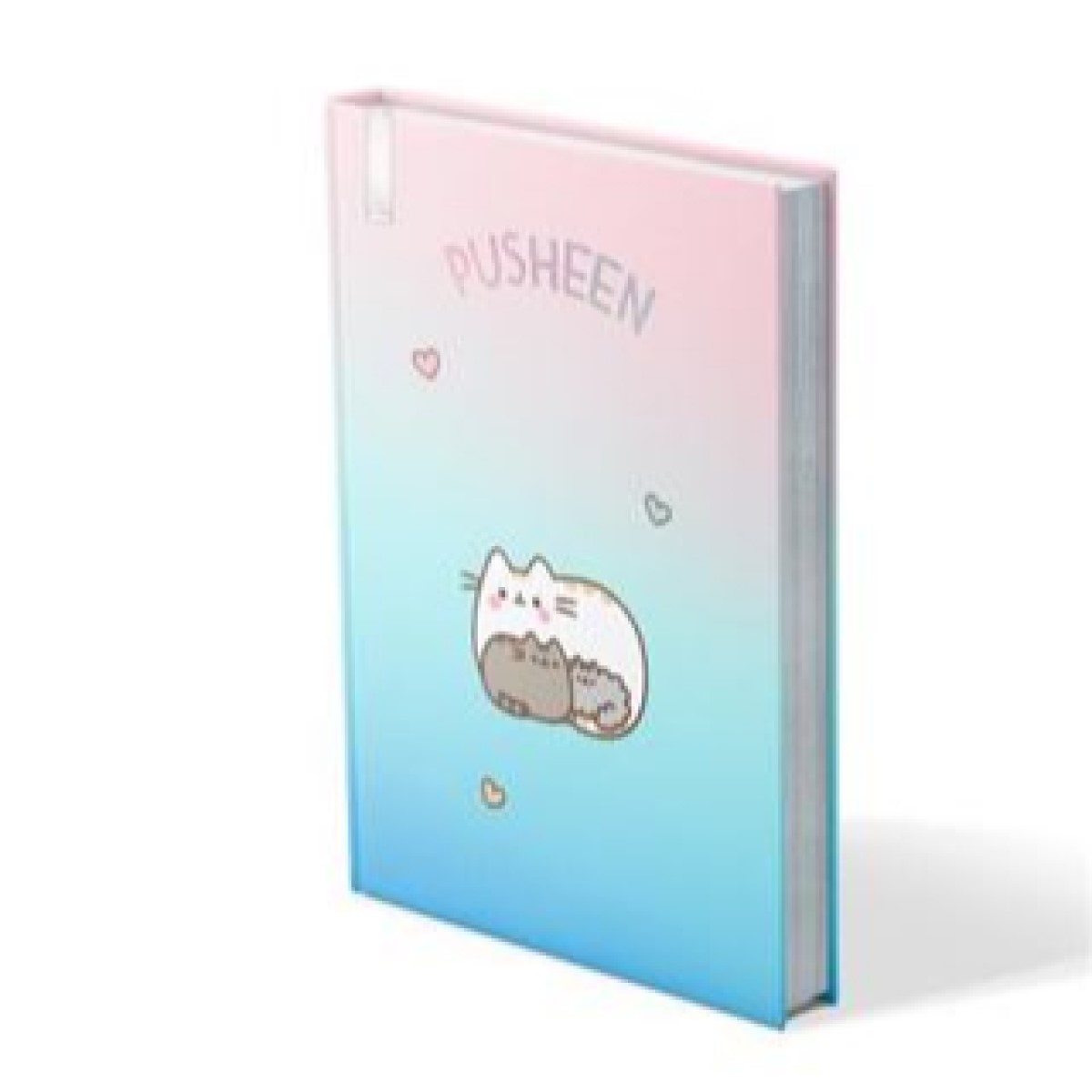 Licensed Premium Notebook - Pusheen Family Ombre