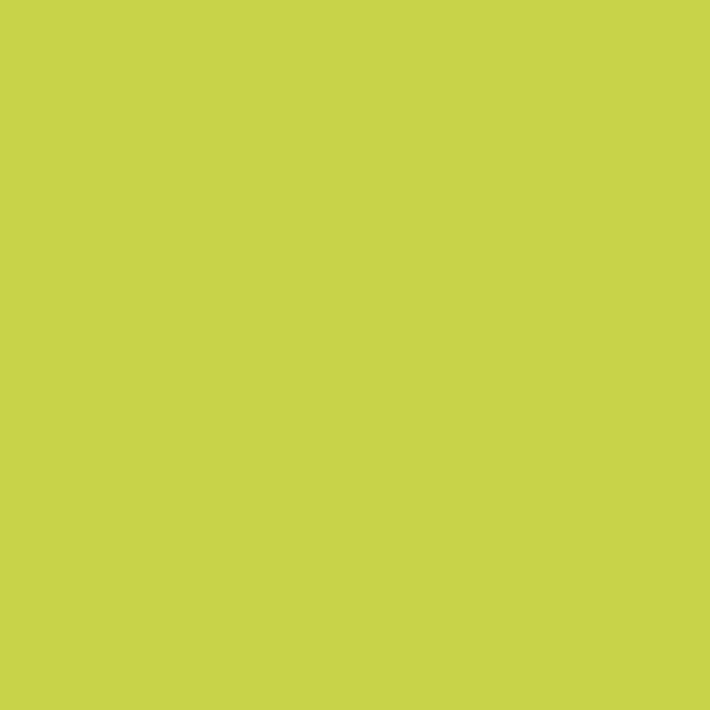 Vallejo - Model Color - Yellow Green