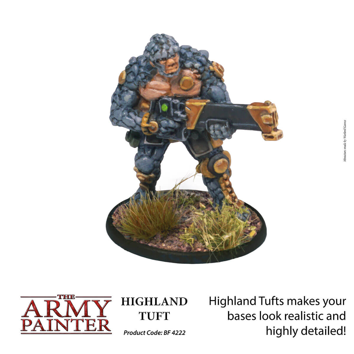 AP - Battlefield: Highland Tuft - Image 4