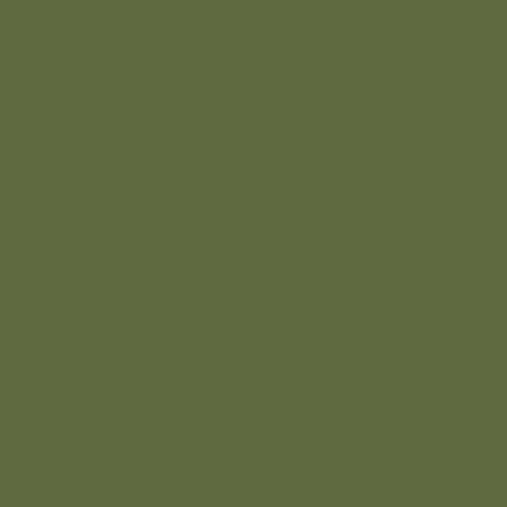 Vallejo - Model Air - Camouflage Light Green 17ml - Image 2
