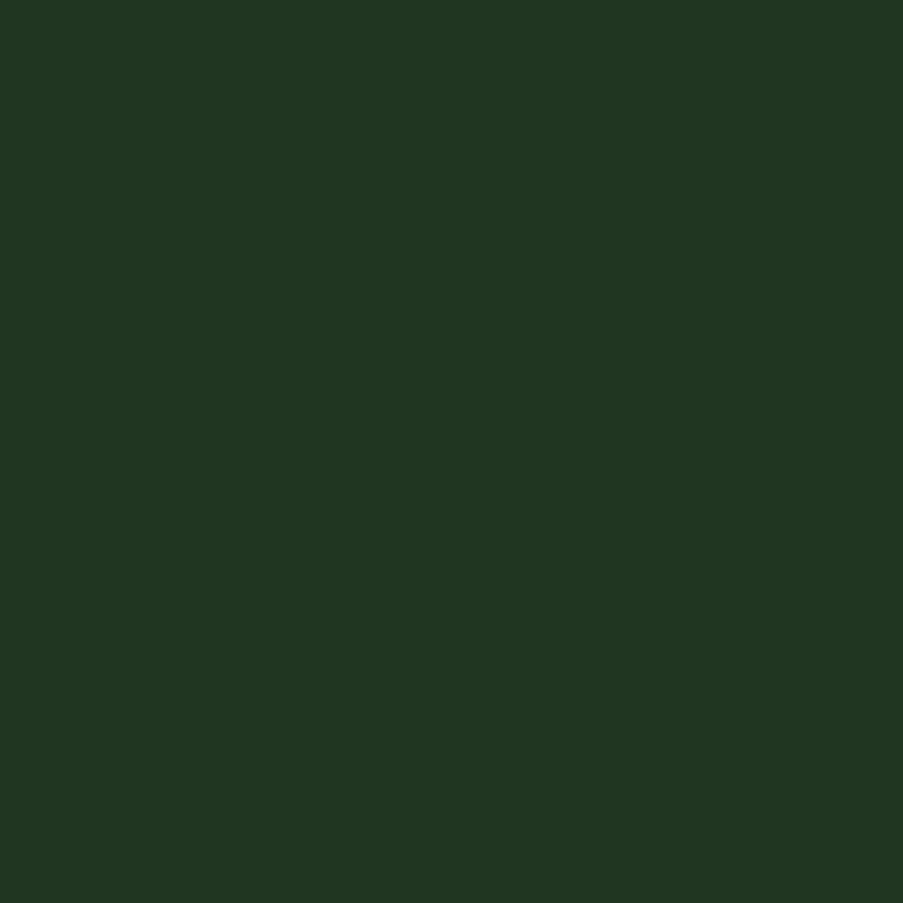Vallejo - Game Color - Dark Green - Image 2