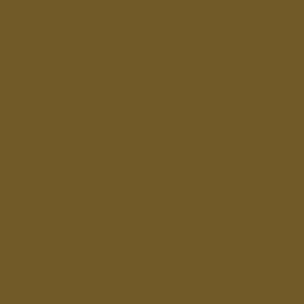 Vallejo - Game Color - Beasty Brown - Image 2