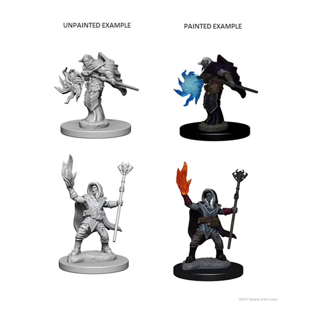 D&D Nolzur's Marvelous Miniatures: Elf Male Wizard