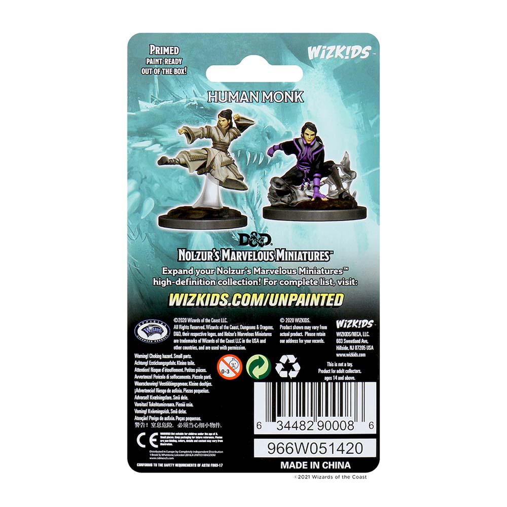 D&D Nolzur's Marvelous Miniatures: Female Human Monk - Image 2