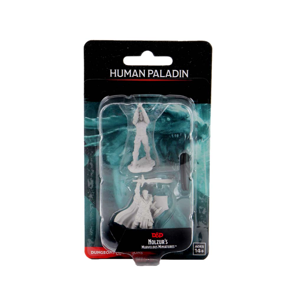 D&D Nolzur's Marvelous Miniatures: Male Human Paladin