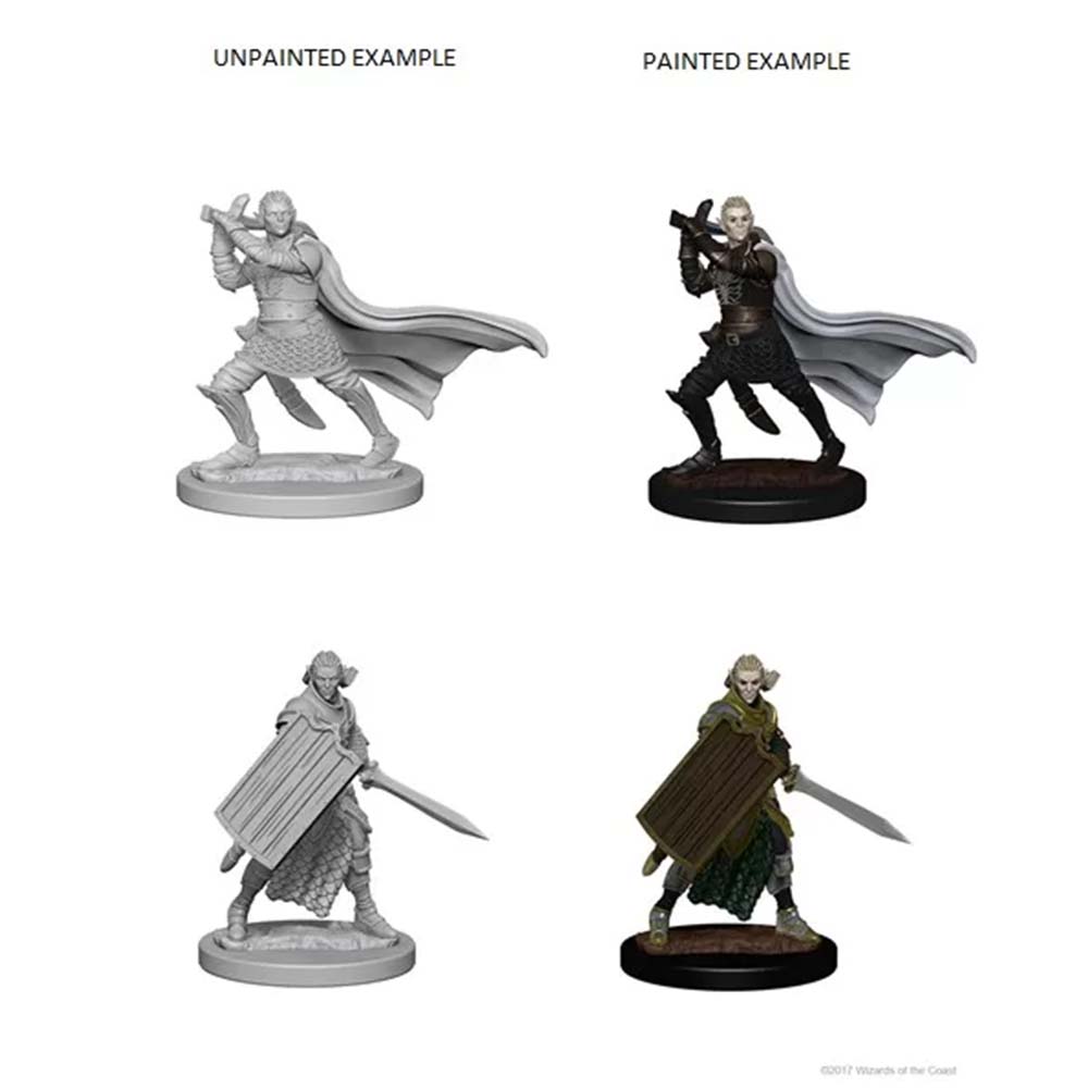 Pathfinder - Elf Male Paladin